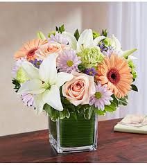 Check spelling or type a new query. Sympathy Loss Of A Pet Dibiaso S Florist Inc Wilmington De Wilmington De Florist