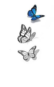 This is a tattoo that shows three butterflies that have been drawn in such a. Drawing Of Butterfly Tattoo Peepsburgh