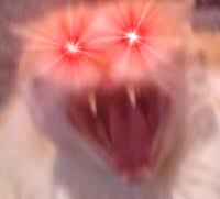 Glowing Eyes Laser Eyes Image Gallery Sorted By Views Know Your Meme