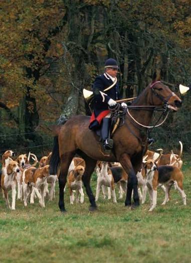 Fox hunting in France in 1907, after a dig with their terriers.