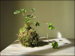 Japanische Ideen Kokedamas Um Unser Zuhause Zu Verandern Mit Bildern Pflanzen Grunpflanzen Ikebana