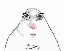 Hamster GIFs | Tenor