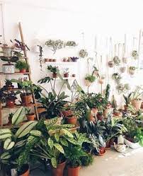 Dhgate.com provide a large selection of promotional green cactus on sale at cheap price and excellent crafts. 39 Instagram Inspo Ideas Instagram Inspo Instagram Plants