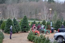 We did not find results for: U Cut And Pre Cut Christmas Trees Around The Snoqualmie Valley Issaquah Reporter