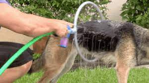 360 Degree Portable Shower For Dogs Dog Wash Pet Hacks Dogs