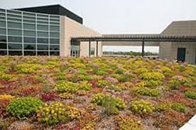 Understanding the various green roof layers is important to easily manage things like the drainage and the insulation. Extensive Vegetative Roofs Wbdg Whole Building Design Guide