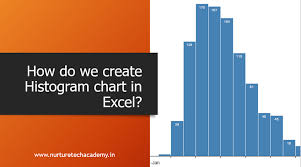 Histogram Chart In Excel 2013 Archives Nurture Tech Academy