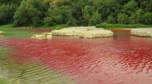 The river eventually finds the laptev sea in the arctic ocean. River In France Turns Blood Red But There S No Need To Panic The Local