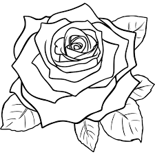 Choose from 890+ vintage flowers graphic resources and download in the form of png, eps, ai or psd. Clipart Vintage Flowers Rose Realistic Rose Roses Drawing Rose Drawing