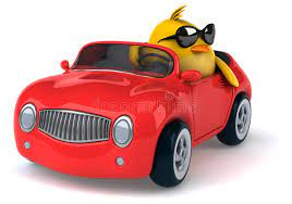 That connection often results in a big white smudge left on our car if we. Yellow Bird In A Car Stock Illustration Illustration Of Yellow 56812284