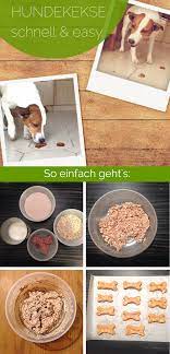 Das wohl am häufigsten verkaufte mehl ist das „weizenmehl type 405. Hundekekse Backen 3 Einfache Rezepte Mach Was Schones Hundekekse Backen Hundekekse Hunde Kekse Rezept