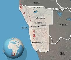 A namibian desert chameleon climbs through vegetation and sand dunes in the desert area of dorob national park, part of the namib desert, on the outskirts of swakopmund, on february 17, 2016. Africa S Fairy Circle Mystery Is Finally Solved In New Study Express Digest