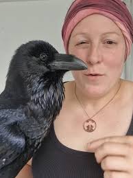 What Is The Difference Between A Crow and Raven