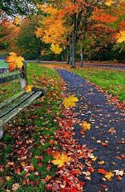 Pin By Rosana Videla On Octoberfest Beautiful Landscapes Beautiful Nature Autumn Scenery