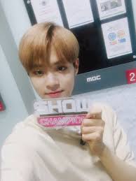 Holly Chan 원청 (@holly0512)