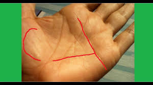 Palmistry In Bengali Analysis Youtube