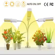 We did not find results for: 66w Full Spectrum Led Plant Grow Light Usb 5v 3a Triple Soft Neck Lamp Head For Indoor Home Office Desktop Shopee Singapore