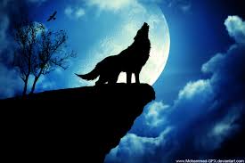 Download free cool wolf wallpapers background and hd image. Wolf Fantasy Wallpapers Group 82