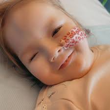 Briannas journey through life