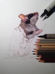 Pin Di Jeani Guinn Su Installation Art Craft Iii Disegni Illustrazioni Animali