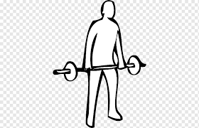 Choose from over a million free vectors, clipart graphics, vector art images, design templates, and illustrations created by artists worldwide! Weight Lifting Png Images Pngwing