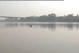 Image result for bhagalpur