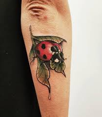 Check spelling or type a new query. Top 31 Best Ladybug Tattoo Ideas 2021 Inspiration Guide
