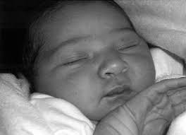 Pruners compete for cash