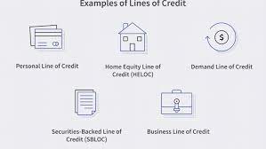 Types of consumer finance programs. Line Of Credit Loc Definition
