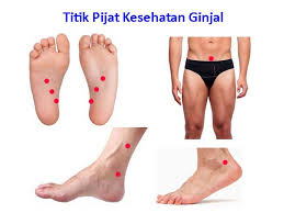 Titik bekam sunnah merupakan titik bekam dimana rasulullah shallallahhu 'alaihi wa sallam pernah dibekam pada titik tersebut, tentunya bukan sekadar sunnah dalam berbekam namun ada kelebihan pada yang rasulullah sampaikan. 10 Titik Pijat Untuk Kesehatan Ginjal Dan Kandung Kemih