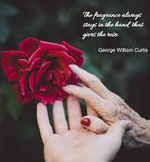 Match Your Sentiment To A Rose To Express Yourself Beautifully Rose Quotes Flower Quotes Flower Quotes Inspirational