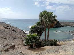 Os esperamos hasta las 17:00 con nuestros platos arcoiris!. Vegan Auf Fuerteventura Restaurants Im Uberblick Travelgan