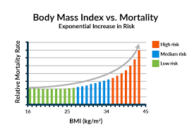 Bmi Graph Sada Margarethaydon Com