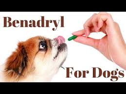 benadryl dosage for dogs chart youtube