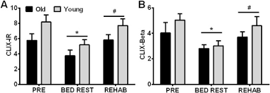 9) my elder sister (to cook) the pie since 10 and it is not ready yet. Aging Related Effects Of Bed Rest Followed By Eccentric Exercise Rehabilitation On Skeletal Muscle Macrophages And Insulin Sensitivity Sciencedirect