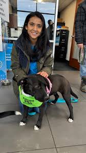 We had a great time at our meet and greet event and Metrowest Subaru today!  Lola, Jackson, Lucy Lou, Tyson, and Lucy met so many new friends! We'll  keep you updated on