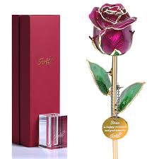 It is plausible to run out of ideas. 24k Gold Rose Flowers Mothers Day Purple Roses Valentine S Day Anniversary Birthday For Her Wife Girlfriend Mom With K9 Crystal Stand Artificial Flowers Amazon Com Au