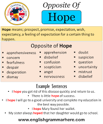 Opposite Of Hope Antonyms Of Hope Meaning And Example Sentences Antonym Opposite Words Contradict Each Other And Meet Oppos Opposite Words Opposites Antonyms