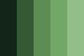 Each piece of sea glass was carefully Shade Of Green Color Palette Green Colour Palette Different Shades Of Green Green Aesthetic