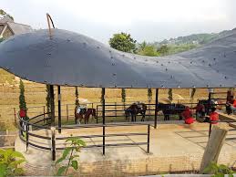 Listen to macan ternak by trio macan, 72 shazams. Harga Tiket Masuk Dan Alamat The Ranch Megamendung Puncak Nikmati Keseruan Wisata Berkuda Daka Tour