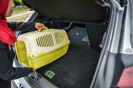 Aldi tahu nama mereka karena mereka tinggal tak jauh dari rumah tibalah waktu kami kembali ke penginapan untuk istirahat, sesuai janjiku aku yang tidur di sofa sedangkan erni di tempat tidur. Mercedes Benz Gla 200 Ini Baru Nora Danish Careta