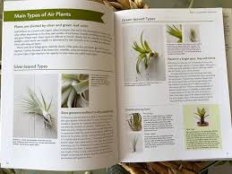 Like many types of air plants, tillandsia funkiana can be cultivated indoor as a houseplant. Air Plants Archives Ramblings From A Desert Garden