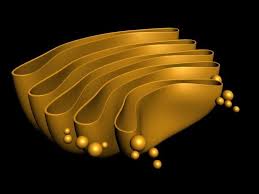 Golgi apparatus, organelle of eukaryotic cells that is responsible for transporting, modifying, and packaging proteins and lipids. 3d Model Golgi Apparatus 3d Model In 2021 Cells Project 3d Model Model