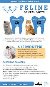 We've checked out every single ingredient in each product to help you out. Humane Society Of Durham Region Cat Fact Friday