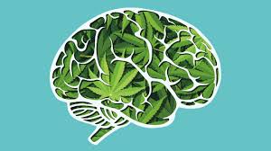 marijuana causes hallucinations