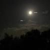 A boy from mars has predicted that something big will happen to earth in 2020. Https Encrypted Tbn0 Gstatic Com Images Q Tbn And9gcqyxpp1ibkyq4swoy1jrv 4s0epif 8s37nehpodsksajqglc V Usqp Cau