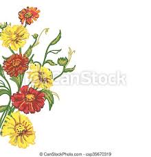 Foto stock e vettoriali ad alta. Disegno Fiori Selvatico Vettore Mazzolino Disegno Selvatico Colorato Illustrazione Flowers Canstock