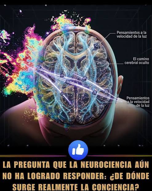 Te has preguntado alguna vez qué es la consciencia? La consciencia es el  estado de la mente que nos permite darnos cuenta de nuestra propia  existencia, de la del resto del mundo