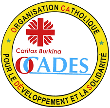 Avis De Recrutement Sed Dedougou La Direction Regionale De L Agence Nationale Pour L Emploi Anpe De La Boucle Du Mouhoun Recrute Pour Le Compte De L Ocades Caritas Dedougou Un E Charge E De