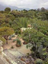Jardin Botanico De Ex Convento De Santo Domingo Oaxaca Oax Mexico Landscape Design Healing Garden Landscaping Inspiration